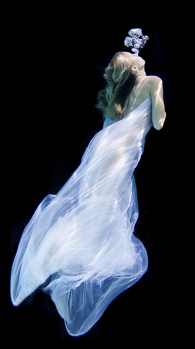 Underwater Nymph by Steve Williams Underwater Nymph by Steve Williams